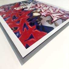 Aludream Printed Aluminium Composite Panel